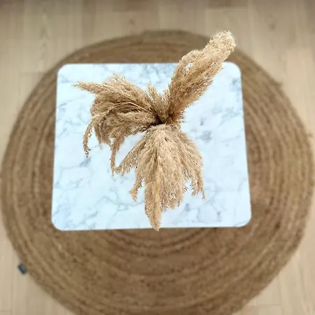 2026 Promo - Elegant New *