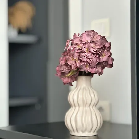 2026 Promo - Elegant New Durrës