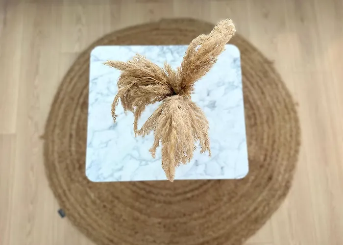 2026 Promo - Elegant New *